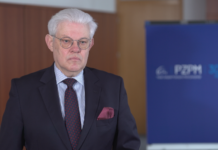 Branża motoryzacyjna nie spodziewa się dynamicznego wzrostu sprzedaży nowych aut. Pesymizm konsumentów jedną z przyczyn, ale nie jedyną